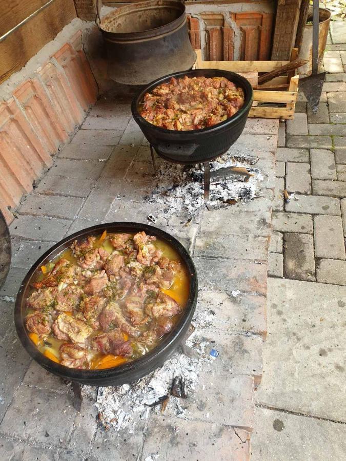 Etno Kuca Sa Konacistem Gocko 호텔 Vrnjačka Banja 외부 사진